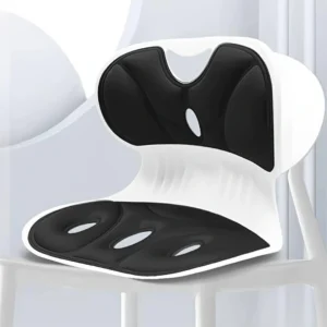 Back Support Office Chair Posture Correction & Lower Back Pain Relief